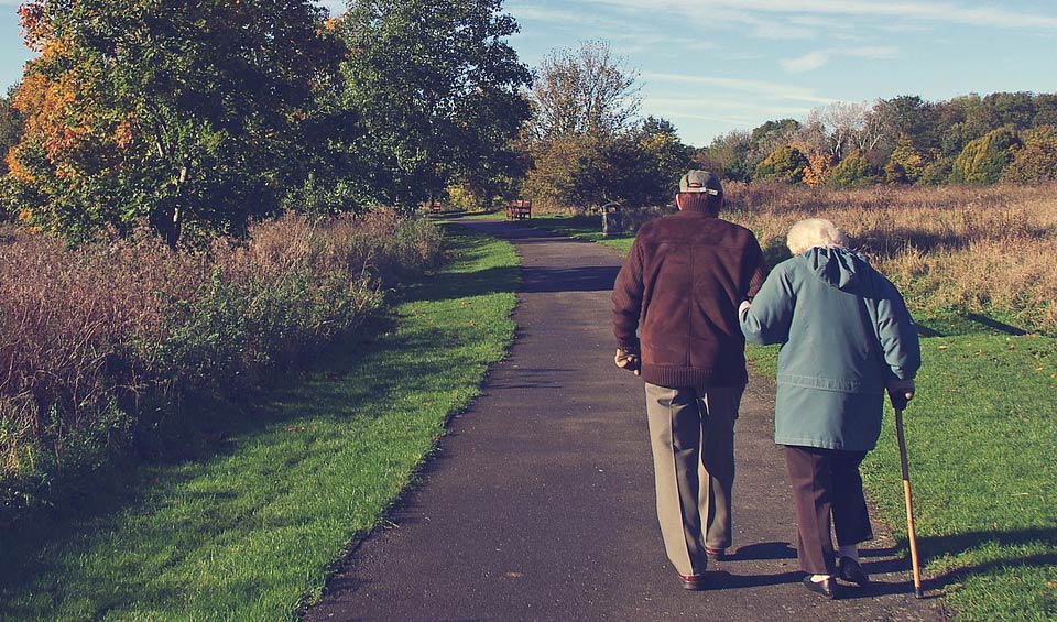Elderly couple walking down wooded path