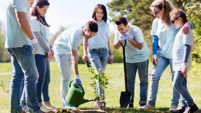 A group of people planting a tree